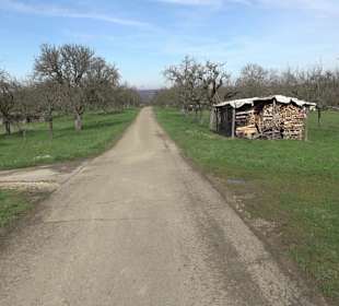 Gomaringer Rundweg - Zu den Giganten im Wald
