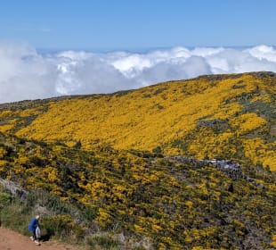 Naturpark Queimadas & Levada do Caldeirão Verde