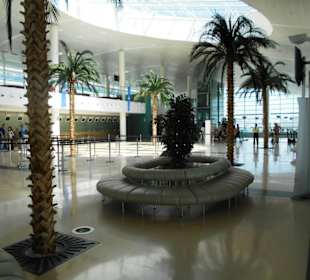 Cruise-Terminal C