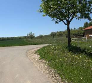 Magolsheimer Buchtalweg