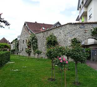 Stadtgarten Radolfzell am Bodensee