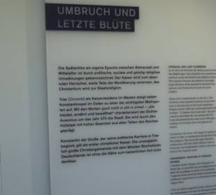 Rheinisches Landesmuseum
