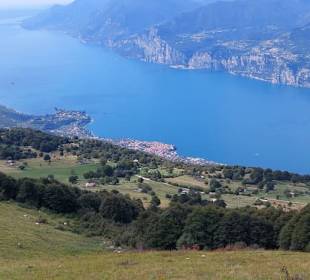 Blick auf Malcesine