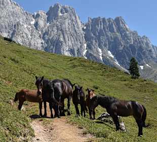 Wandern Mühlbach