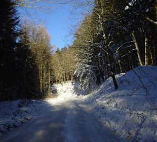 La sorgente del Tevere