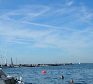 Molo audace