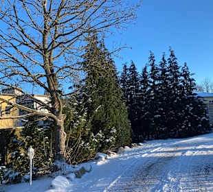 Wandern Allrode