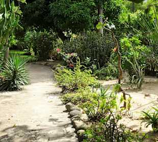 Rundgang durch den Jardin d´Eden