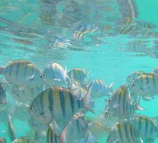 Sunscape Puerto Plata Dominican Republic