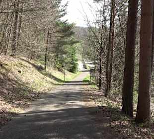 Baumlehrpfad Sontheim