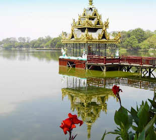 Pavillon