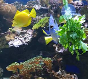 Allwetterzoo Münster