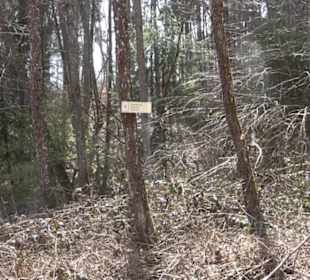 Waldkulturerbe Neuweiler Viehweide