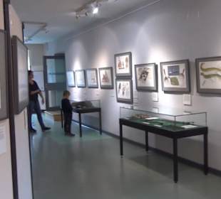 Meeresmuseum Stralsund