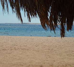 Delfintour-Hurghada in Sharm el Naga 