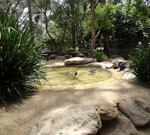 Stadtrundgang Sydney