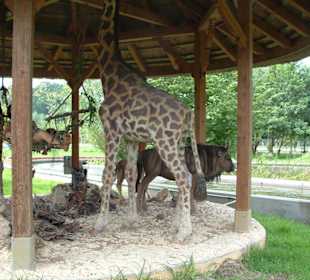Freizeitpark