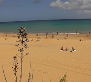 Traumstrand Porto Santo
