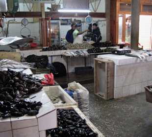 Neue Markthalle Ancud