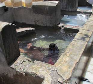 Wird auch als Bad benutzt