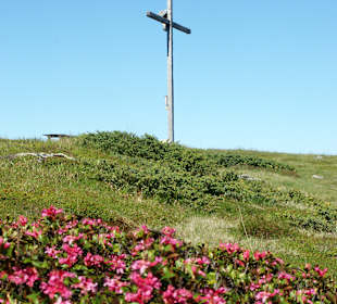 Wandern San Lorenzo di Sebato / Sankt Lorenzen