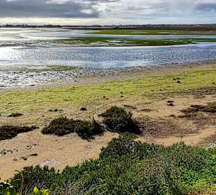 Parque Natural da Ria Formosa