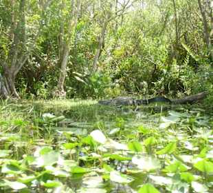 Everglades Safari Park