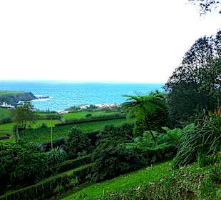 Cha Porto Formoso