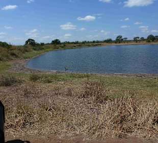 Krüger Nationalpark