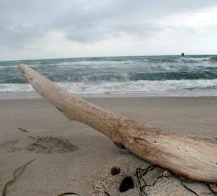 Am Strand, Darßer - Ort