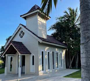 Stadtrundfahrt Bavaro