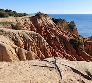 Seven Hanging Valleys Trail 