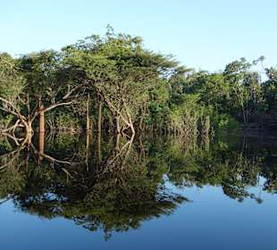 Ausflug am Rio Negro