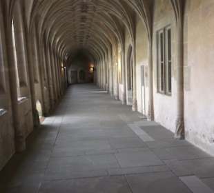 Laienportal