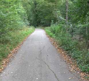 Altwege Rundwanderung Bebenhausen