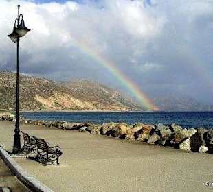 Regenbogen