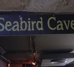 National Aquarium Malta