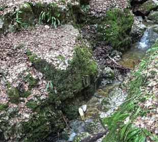 Wolfsschlucht