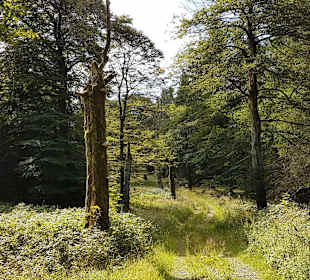 Wandern Schmallenberg