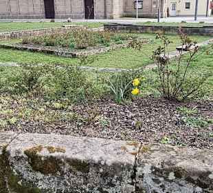 Kleiner Garten am Eingang
