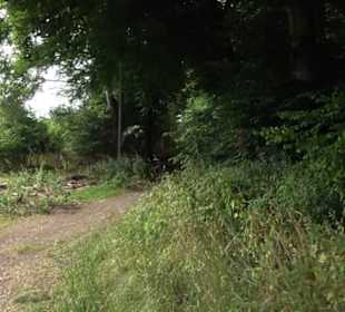 Tour entlang der Traifelbergfelsen