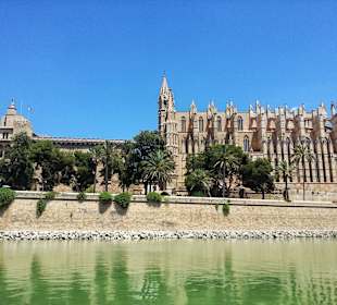 Palma de Mallorca Cathedral 