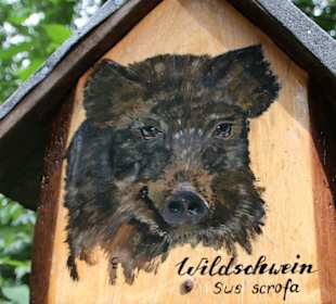 Wildschweion