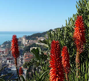 Ganz Monaco im Blick