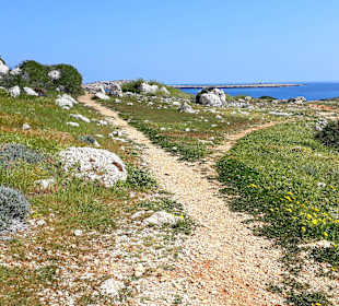 Nationalpark Kap Greco