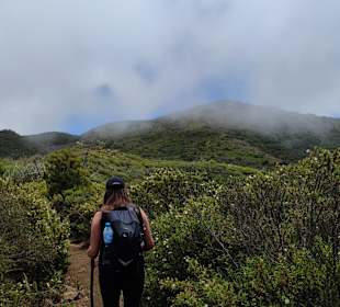 Nationalpark Garajonay
