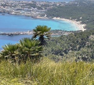 Talaia de Son Jaumell