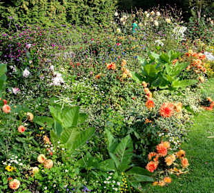 Herbstliche Blütenpracht im Kurpark