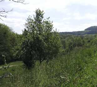 Burg Wäscherschloss