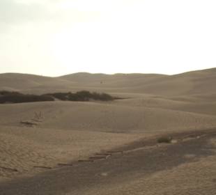 Dünen Maspalomas